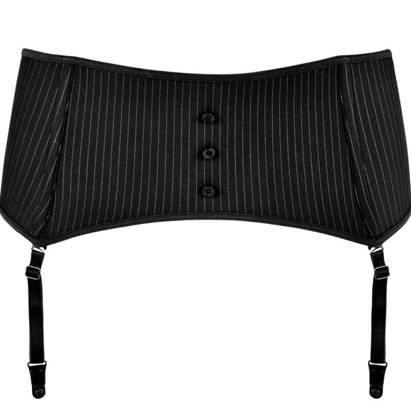 Garter Belt / Waist Cincher /Waspie NWT - Picture 4 of 10